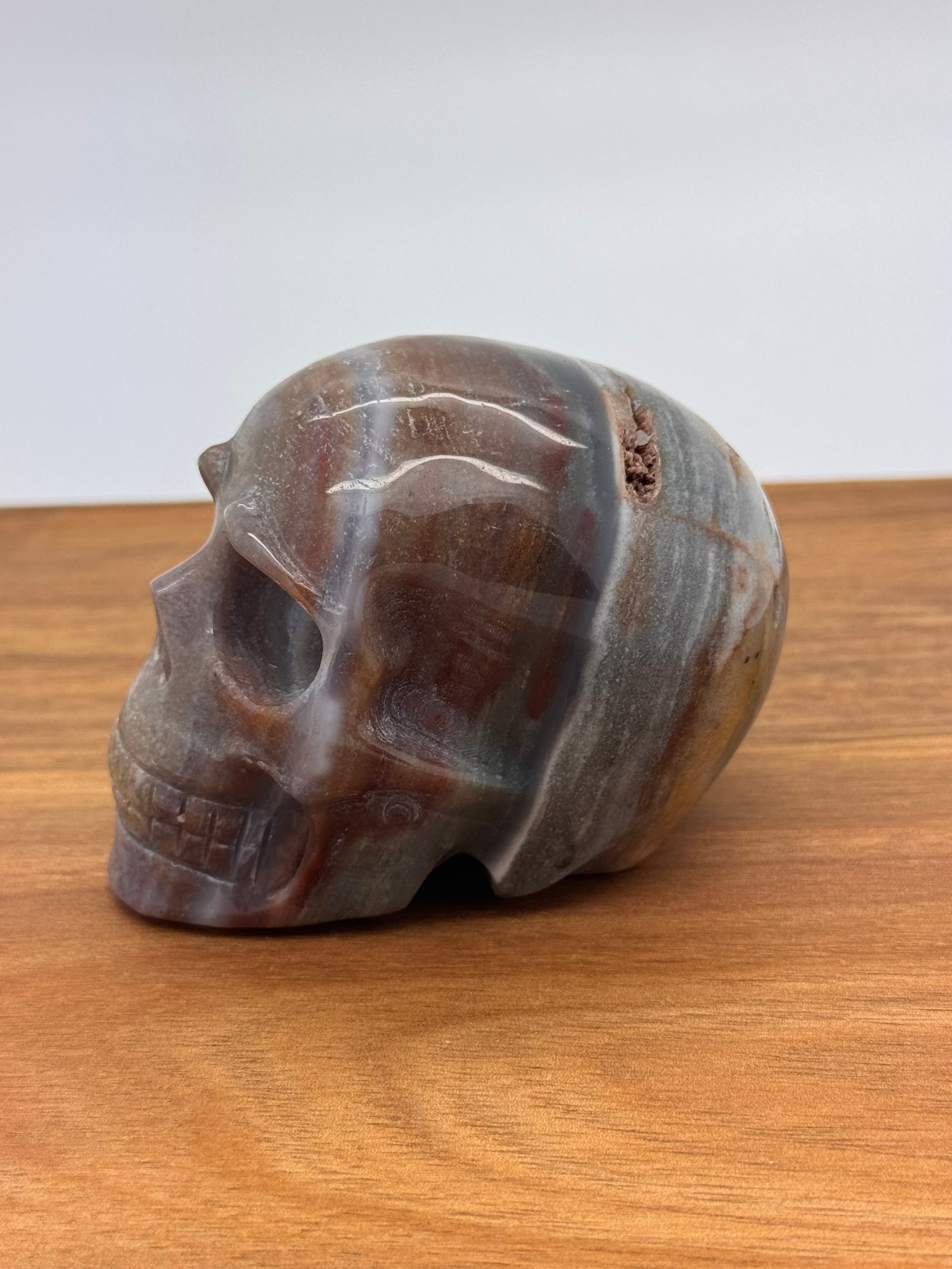 Ocean Jasper Skull