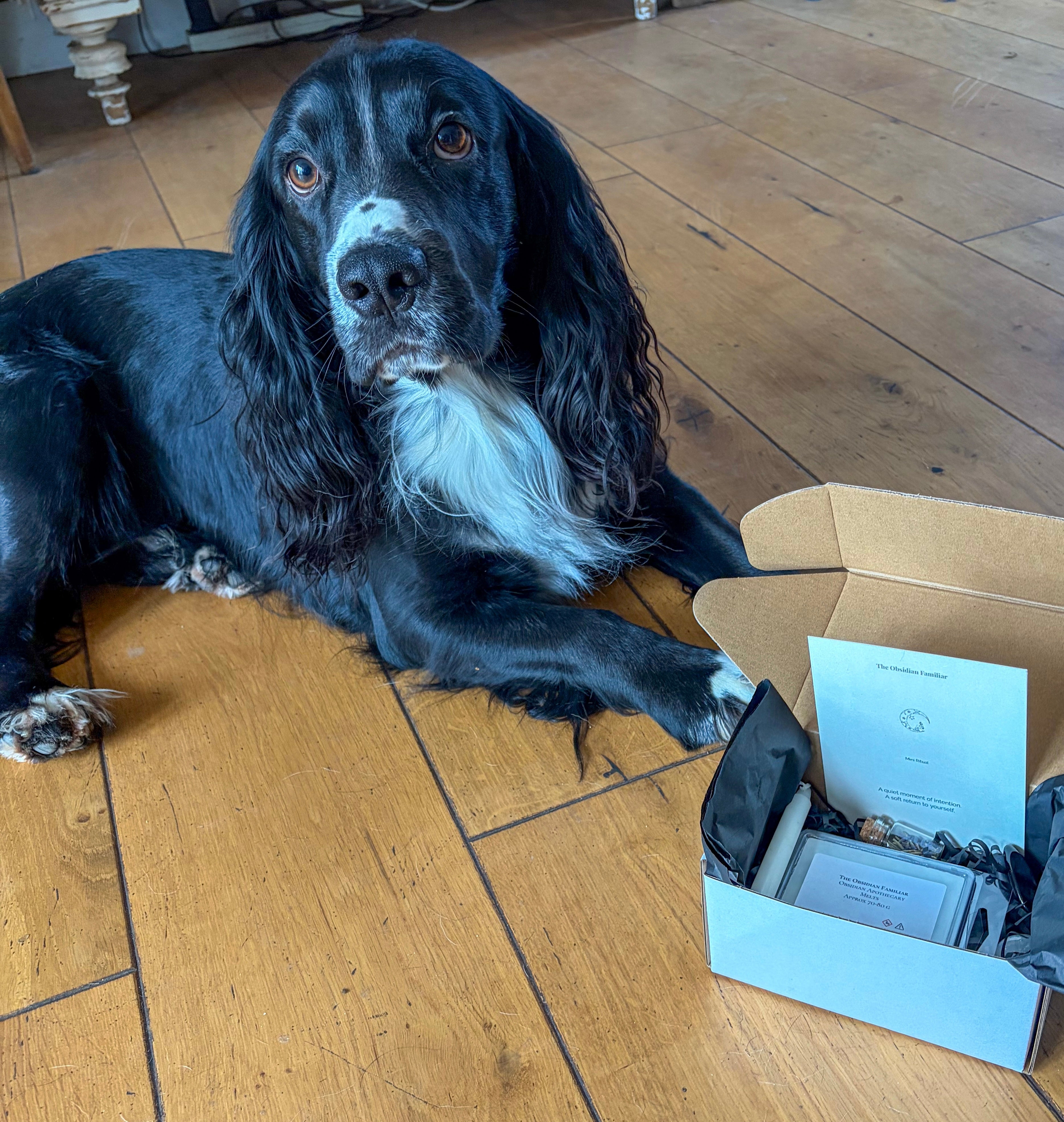 The Familiar Protection Ritual Box