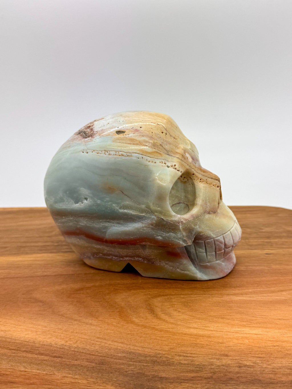 Caribbean Calcite Skull