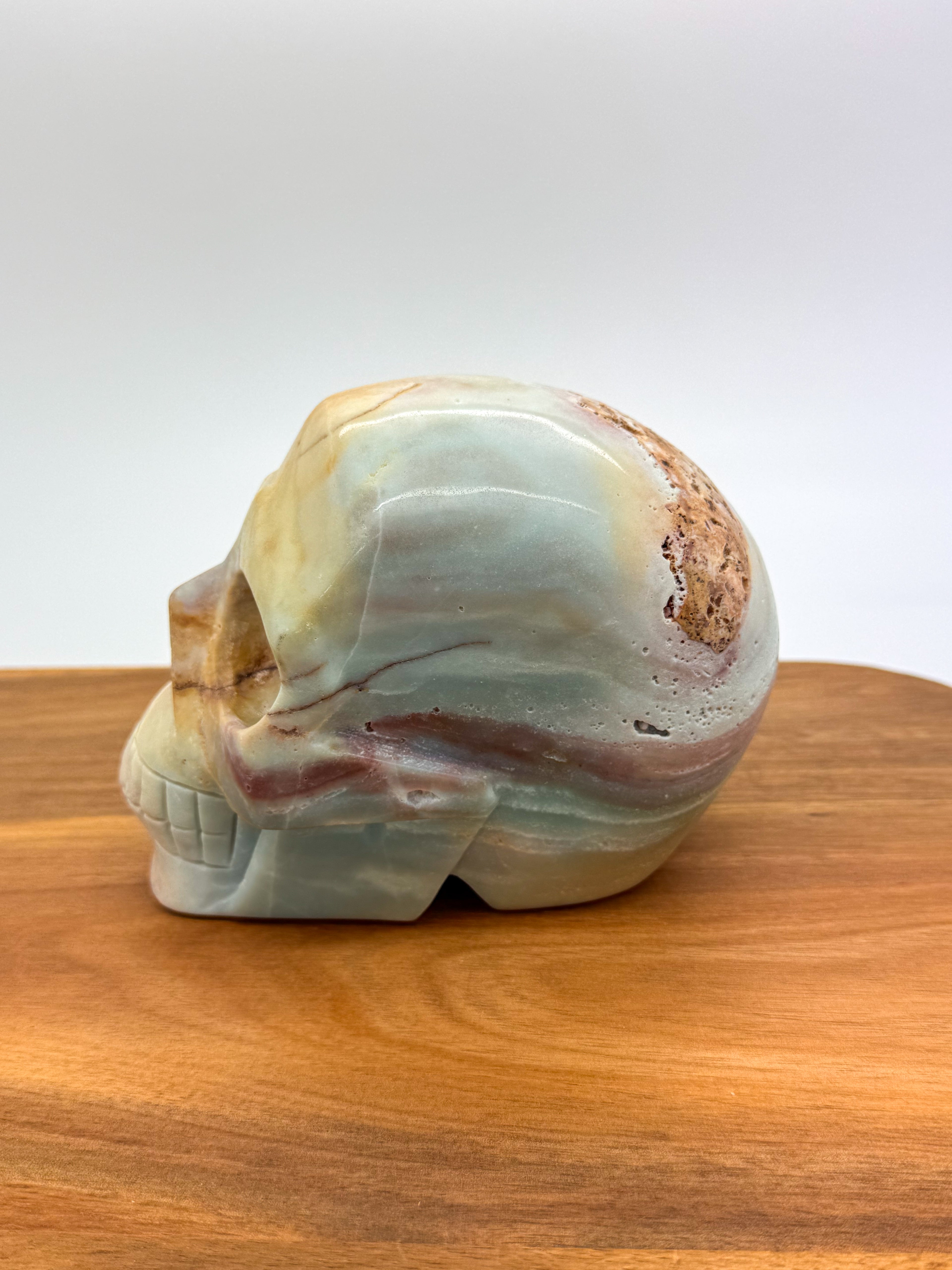 Caribbean Calcite Skull